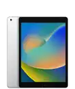 iPad (9.&nbsp;Generation)